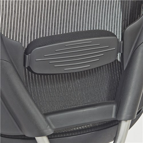 Big Ant Mesh Back Lumbar Support Office Chair, Car Lumbar Support Lower Back