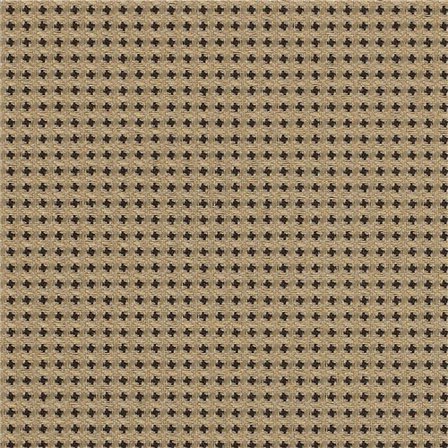 Expo_EX01_Latte.jpg