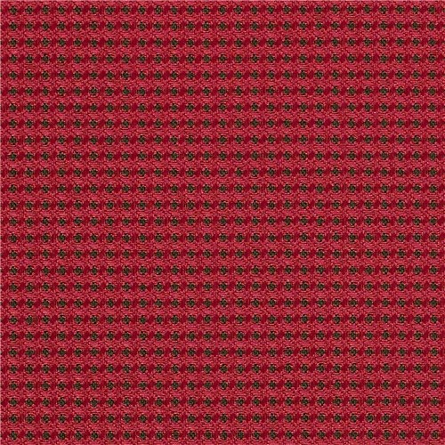 Expo_EX10_Raspberry.jpg