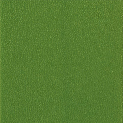 Bandi_GN_Green.jpg