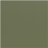 Welle Green Plastic